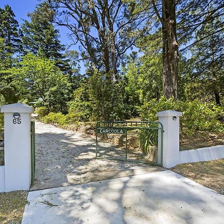 Carcoola Villa Blackheath Exterior foto