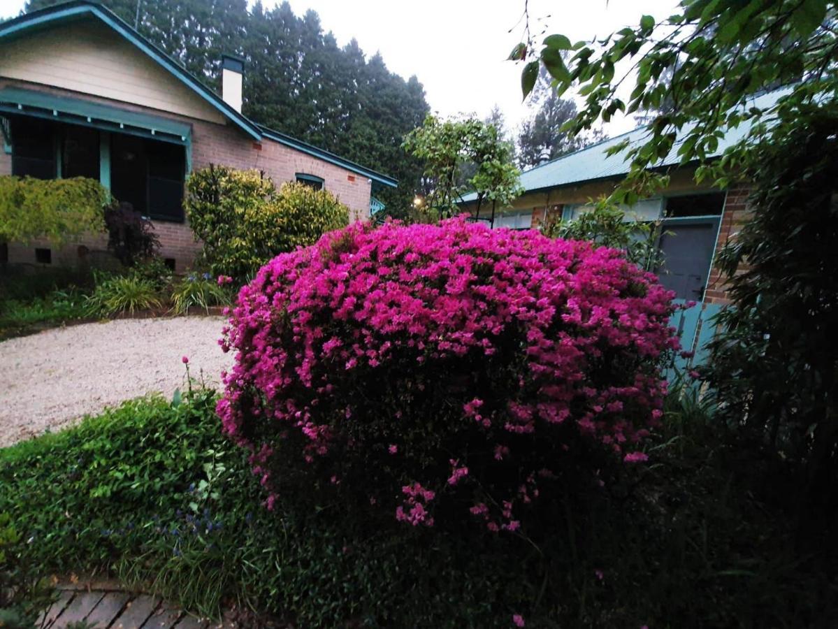 Carcoola Villa Blackheath Exterior foto